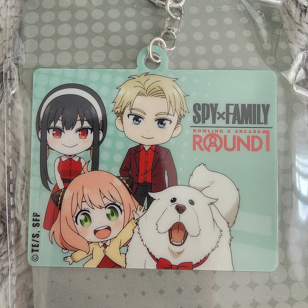 Round 1 Keychain Set - Multicolor - Picture 3 of 4